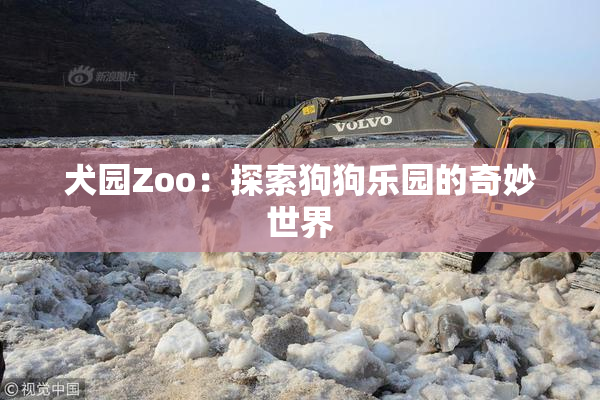 犬园Zoo：探索狗狗乐园的奇妙世界
