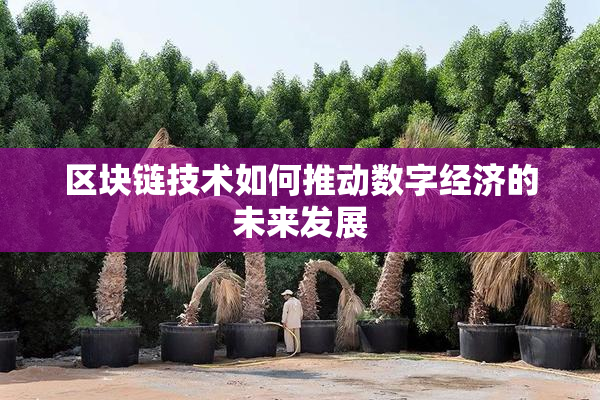 区块链技术如何推动数字经济的未来发展