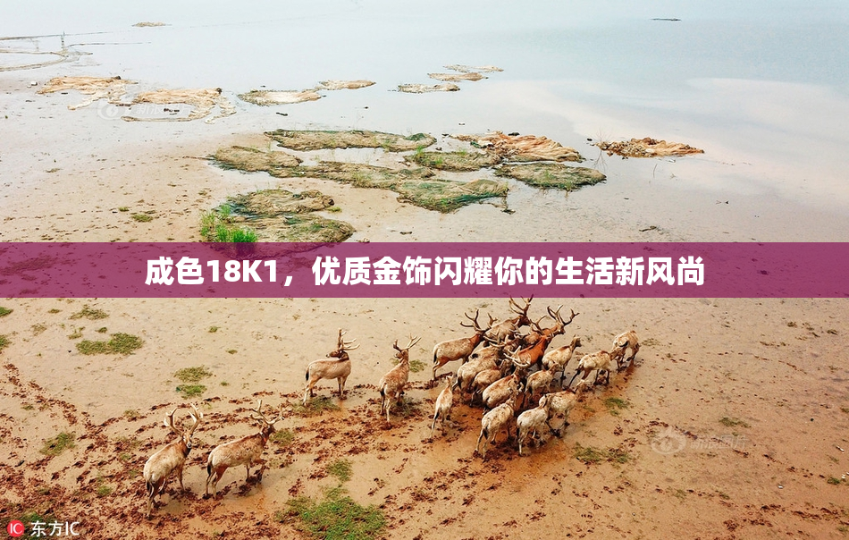 成色18K1，优质金饰闪耀你的生活新风尚