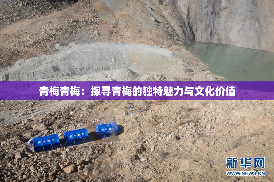 青梅青梅：探寻青梅的独特魅力与文化价值