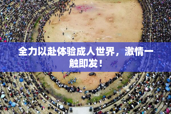 全力以赴体验成人世界，激情一触即发！