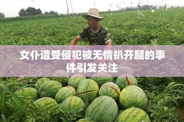 女仆遭受侵犯被无情扒开腿的事件引发关注