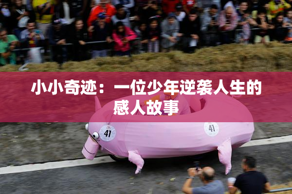 小小奇迹：一位少年逆袭人生的感人故事