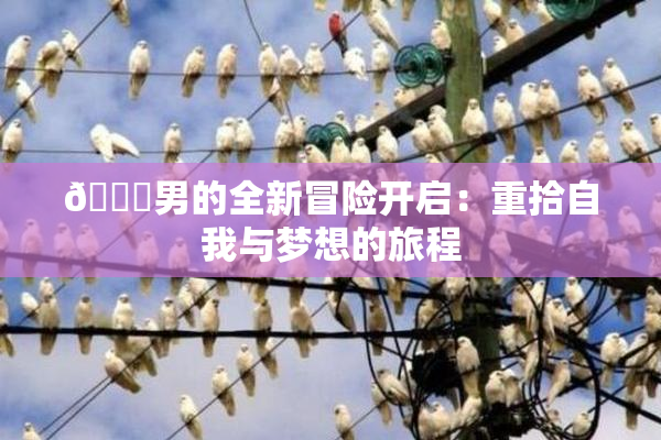 😚男的全新冒险开启：重拾自我与梦想的旅程