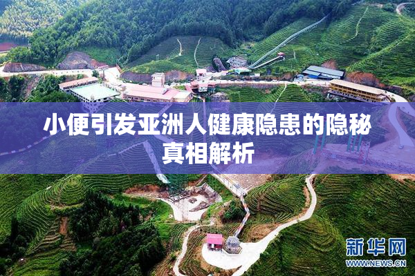 小便引发亚洲人健康隐患的隐秘真相解析