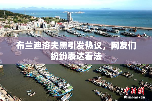 布兰迪洛夫黑引发热议，网友们纷纷表达看法