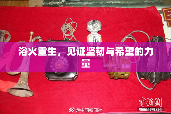 浴火重生，见证坚韧与希望的力量