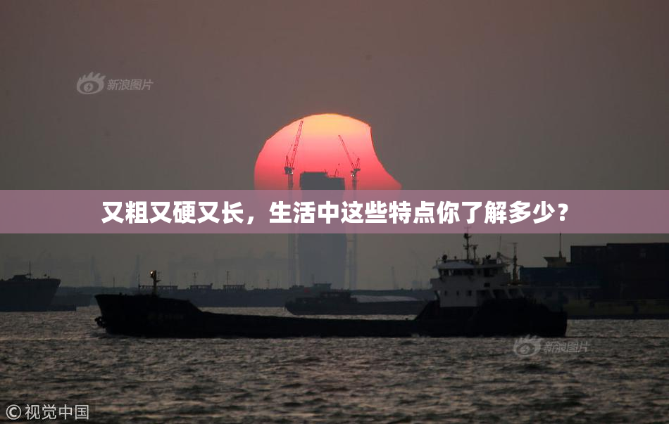 又粗又硬又长，生活中这些特点你了解多少？