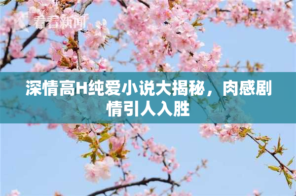 深情高H纯爱小说大揭秘，肉感剧情引人入胜