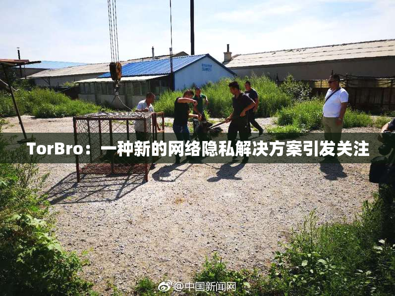 TorBro：一种新的网络隐私解决方案引发关注