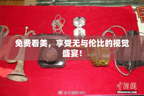 免费看美，享受无与伦比的视觉盛宴！