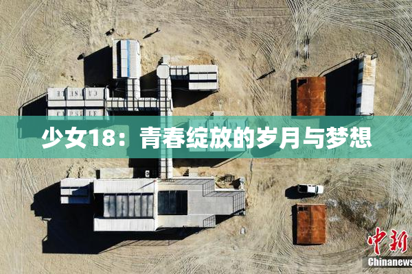 少女18：青春绽放的岁月与梦想