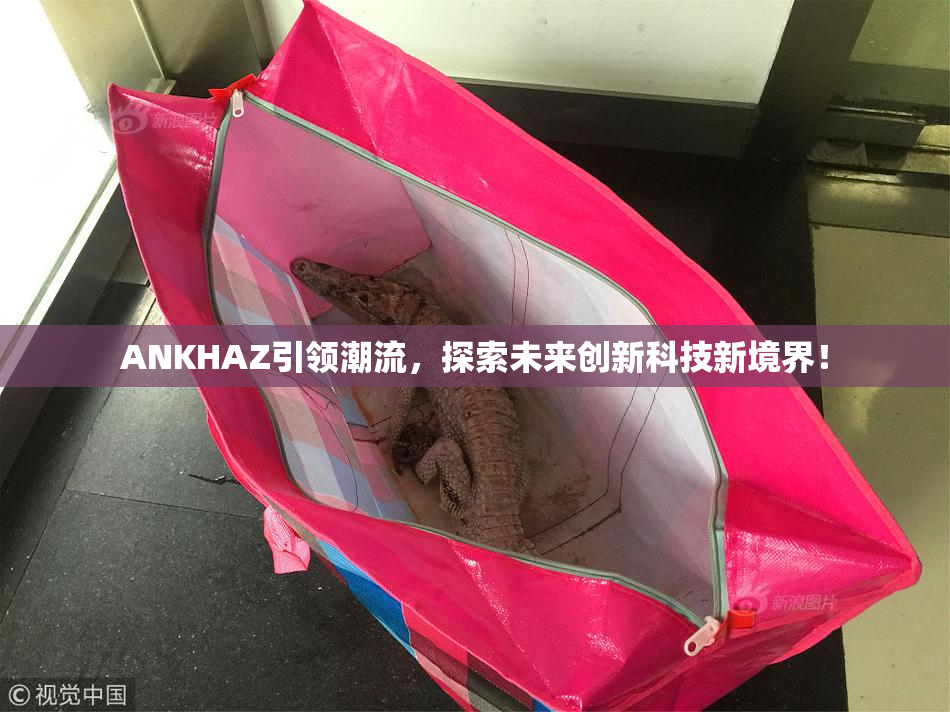 ANKHAZ引领潮流，探索未来创新科技新境界！