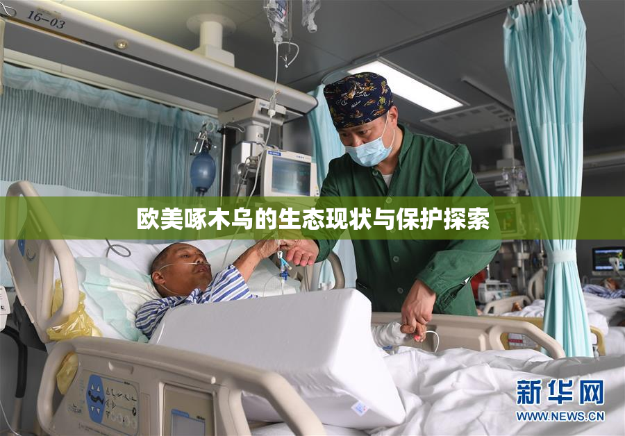 欧美啄木乌的生态现状与保护探索