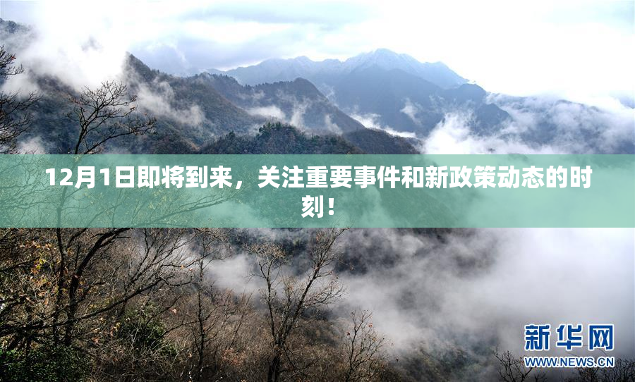 12月1日即将到来，关注重要事件和新政策动态的时刻！