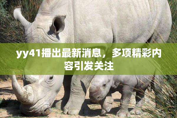 yy41播出最新消息，多项精彩内容引发关注