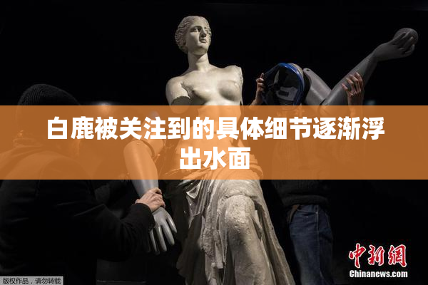 白鹿被关注到的具体细节逐渐浮出水面