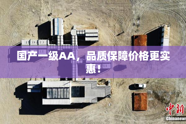 国产一级AA，品质保障价格更实惠！