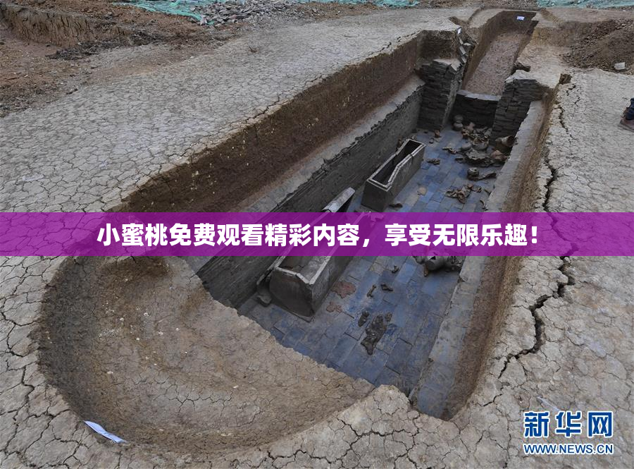 小蜜桃免费观看精彩内容，享受无限乐趣！