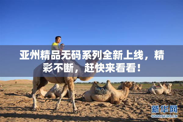 亚州精品无码系列全新上线，精彩不断，赶快来看看！