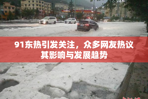 91东热引发关注，众多网友热议其影响与发展趋势