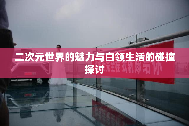 二次元世界的魅力与白领生活的碰撞探讨