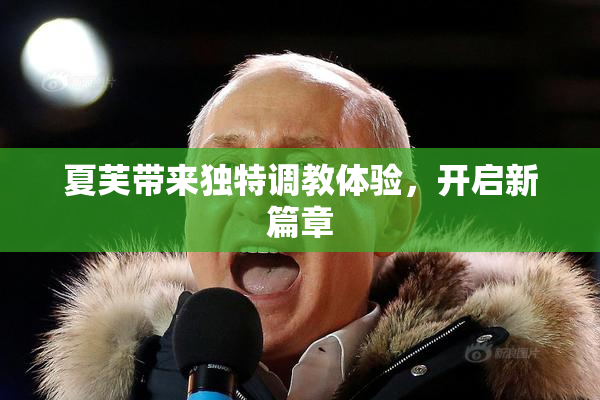 夏芙带来独特调教体验，开启新篇章
