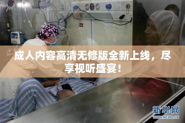 成人内容高清无修版全新上线，尽享视听盛宴！