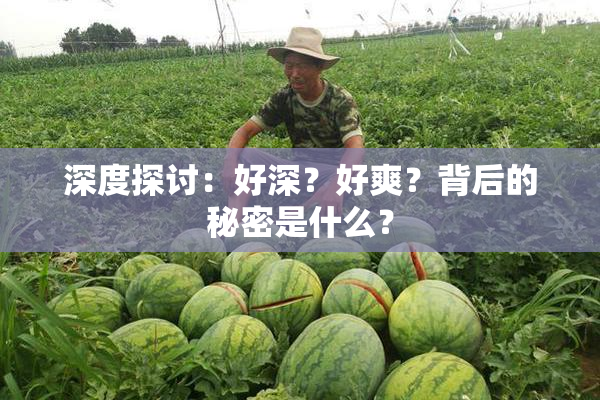 深度探讨：好深？好爽？背后的秘密是什么？