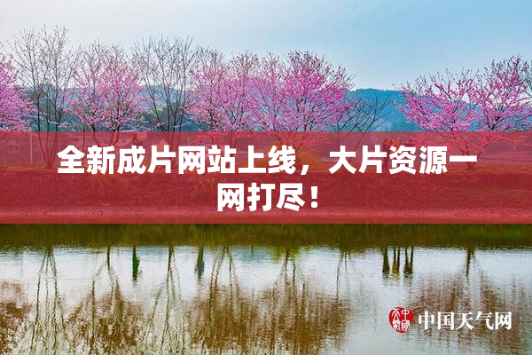 全新成片网站上线，大片资源一网打尽！
