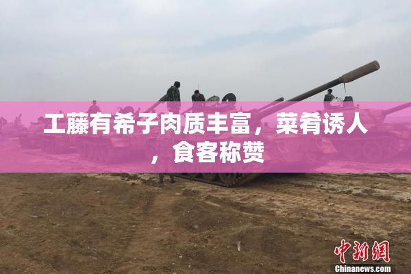 工藤有希子肉质丰富，菜肴诱人，食客称赞