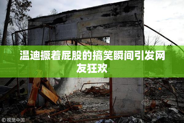 温迪撅着屁股的搞笑瞬间引发网友狂欢
