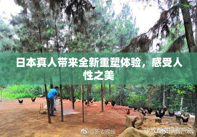 日本真人带来全新重塑体验，感受人性之美