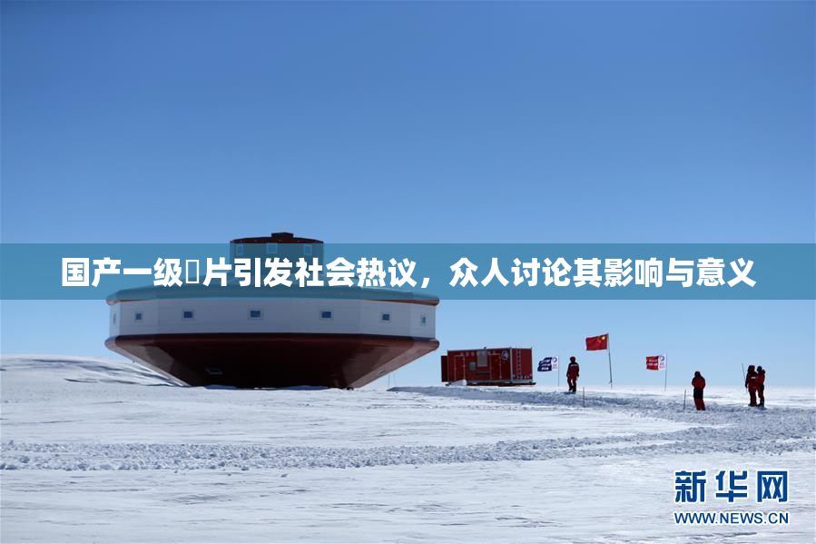 国产一级婬片引发社会热议，众人讨论其影响与意义