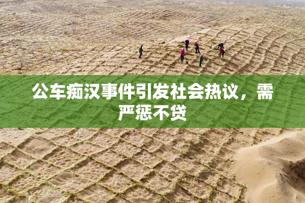 公车痴汉事件引发社会热议，需严惩不贷