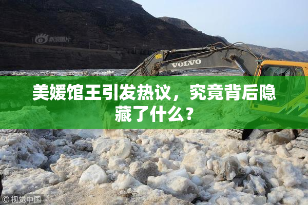 美媛馆王引发热议，究竟背后隐藏了什么？
