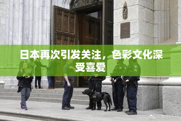 日本再次引发关注，色彩文化深受喜爱