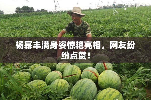 杨幂丰满身姿惊艳亮相，网友纷纷点赞！