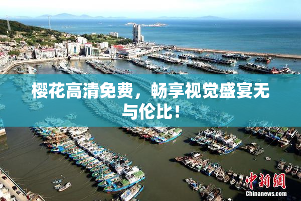 樱花高清免费，畅享视觉盛宴无与伦比！