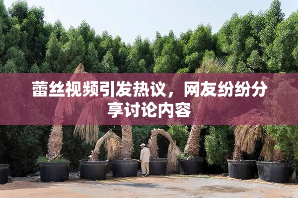 蕾丝视频引发热议，网友纷纷分享讨论内容