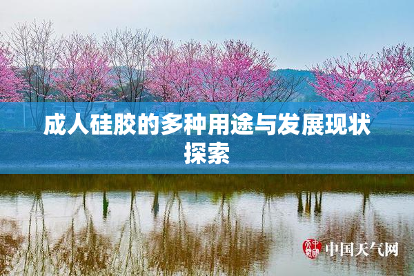 成人硅胶的多种用途与发展现状探索