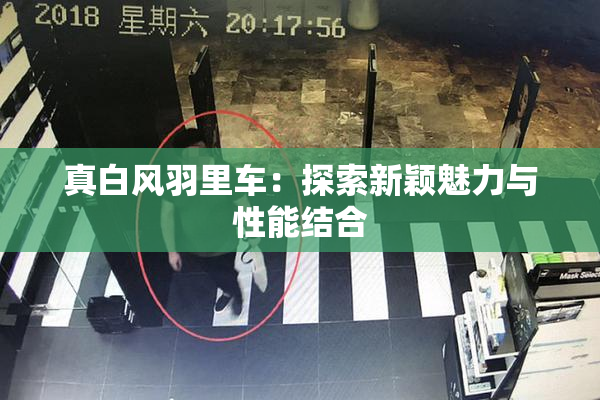 真白风羽里车：探索新颖魅力与性能结合