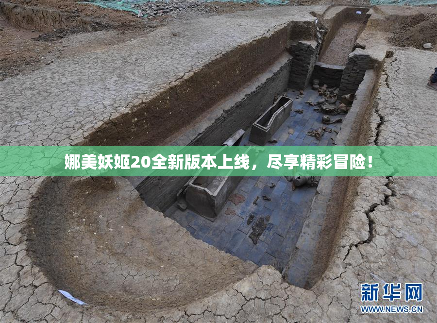 娜美妖姬20全新版本上线，尽享精彩冒险！