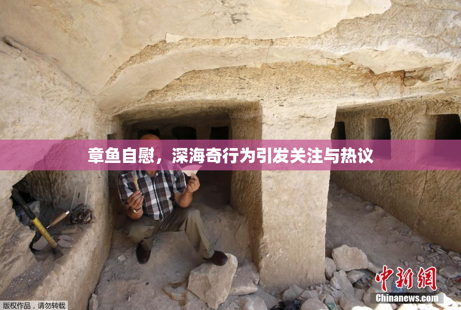 章鱼自慰，深海奇行为引发关注与热议