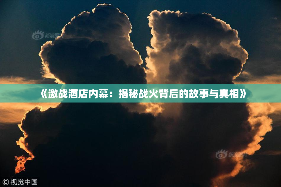 《激战酒店内幕：揭秘战火背后的故事与真相》