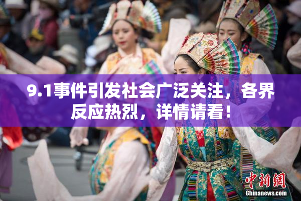9.1事件引发社会广泛关注，各界反应热烈，详情请看！
