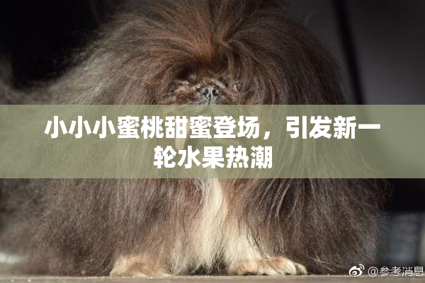 小小小蜜桃甜蜜登场，引发新一轮水果热潮