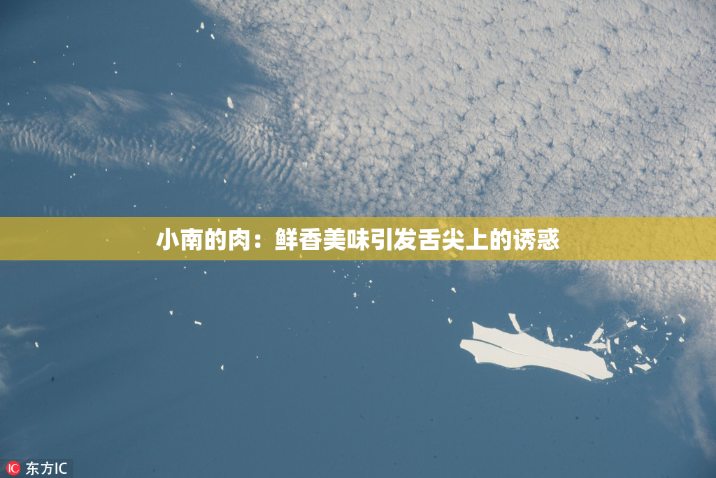 小南的肉：鲜香美味引发舌尖上的诱惑