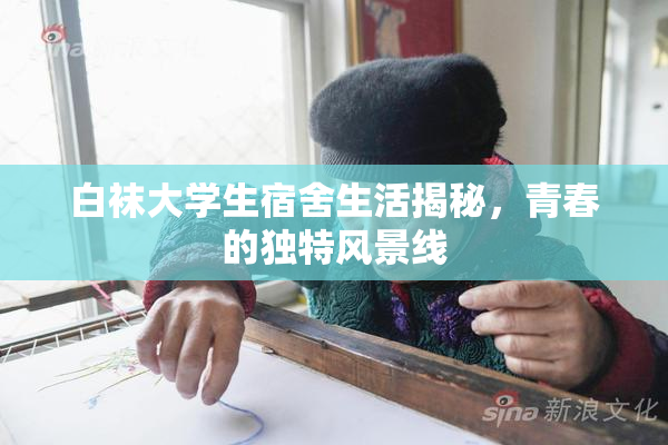 白袜大学生宿舍生活揭秘，青春的独特风景线