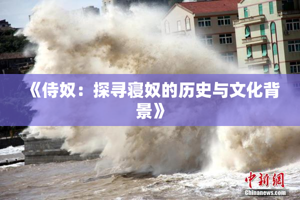《侍奴：探寻寝奴的历史与文化背景》